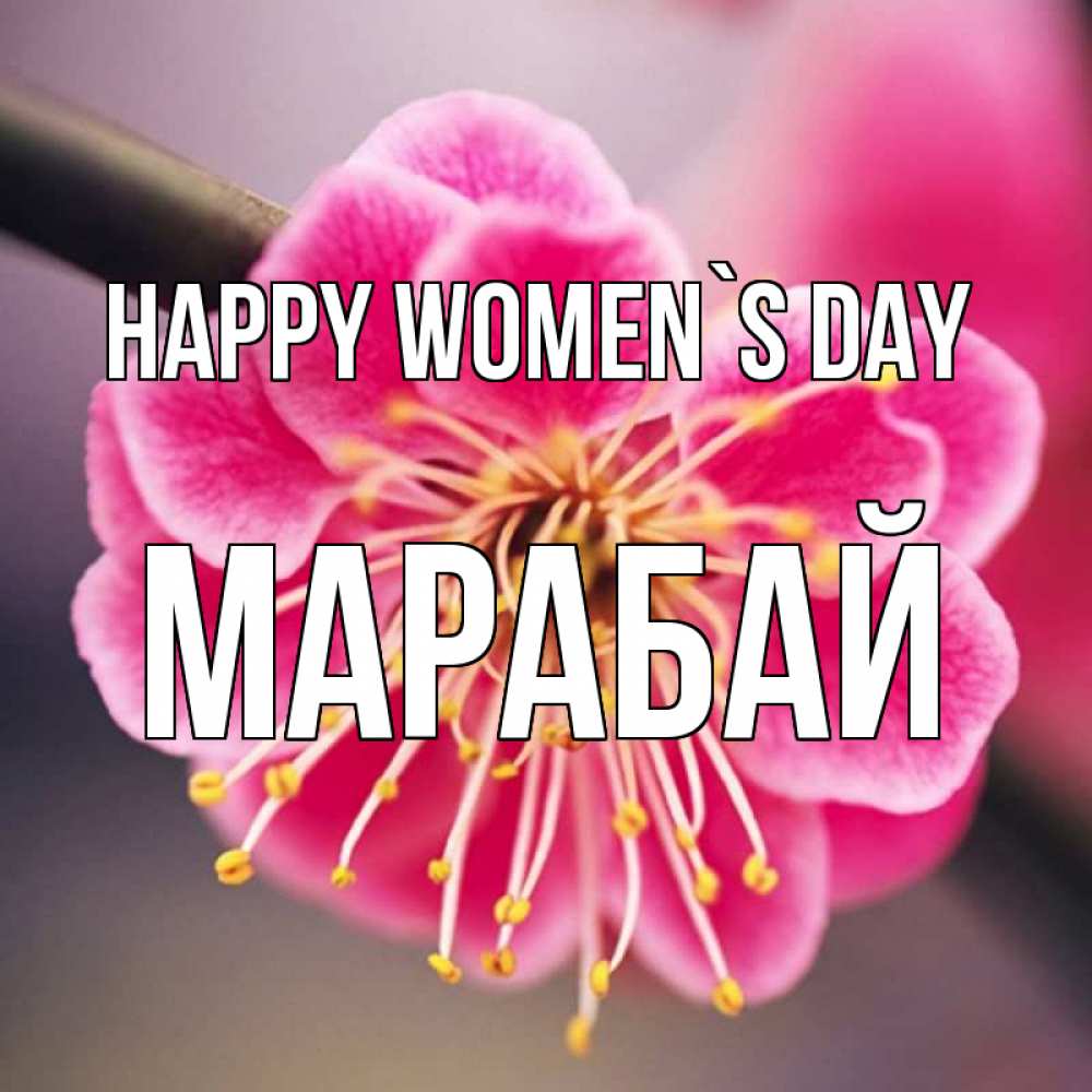 Greetings card с именем, МАРАБАЙ happy women`s day цветы Greetings with text for free download 